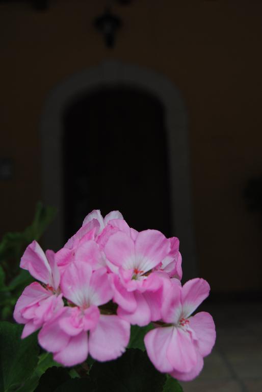Pascale Bed & Breakfast